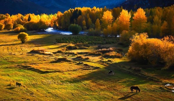 Xinjiang Tour Package Singapore: What's Included, Top Attractions & Cost Guide