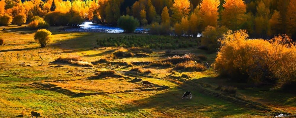 Xinjiang Tour Package Singapore: What's Included, Top Attractions & Cost Guide