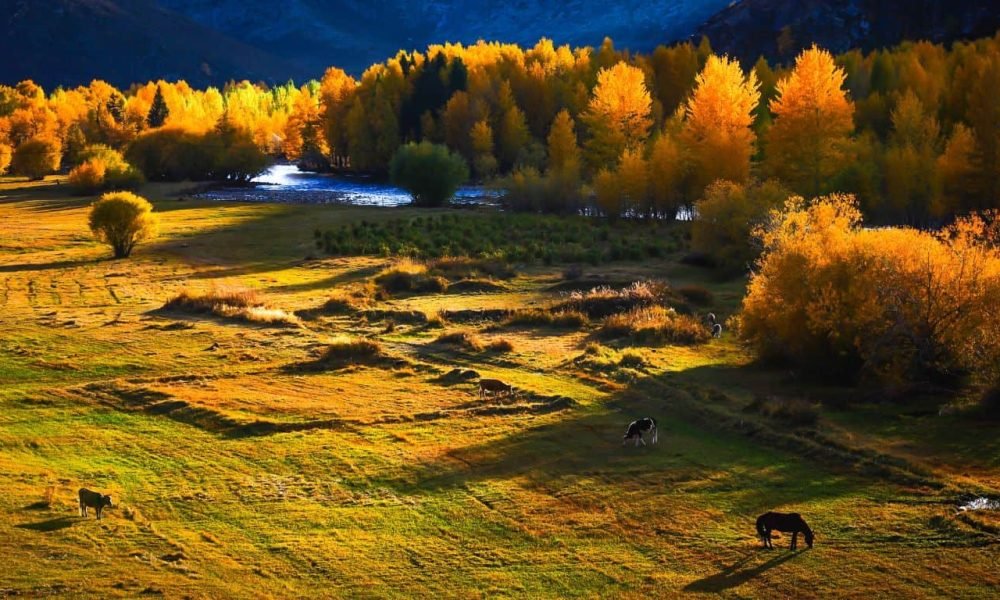 Xinjiang Tour Package Singapore: What's Included, Top Attractions & Cost Guide