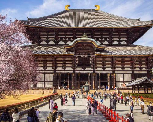 9 Days Japan Cherry Blossom Journey Through Tokyo, Kyoto, Nara & Osaka