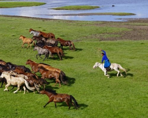 5 Days Xilamuren Grassland, Kubuqi Desert