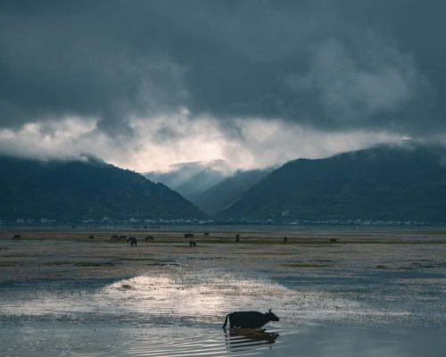 7 Days Yunnan Journey To The Lost Horizon