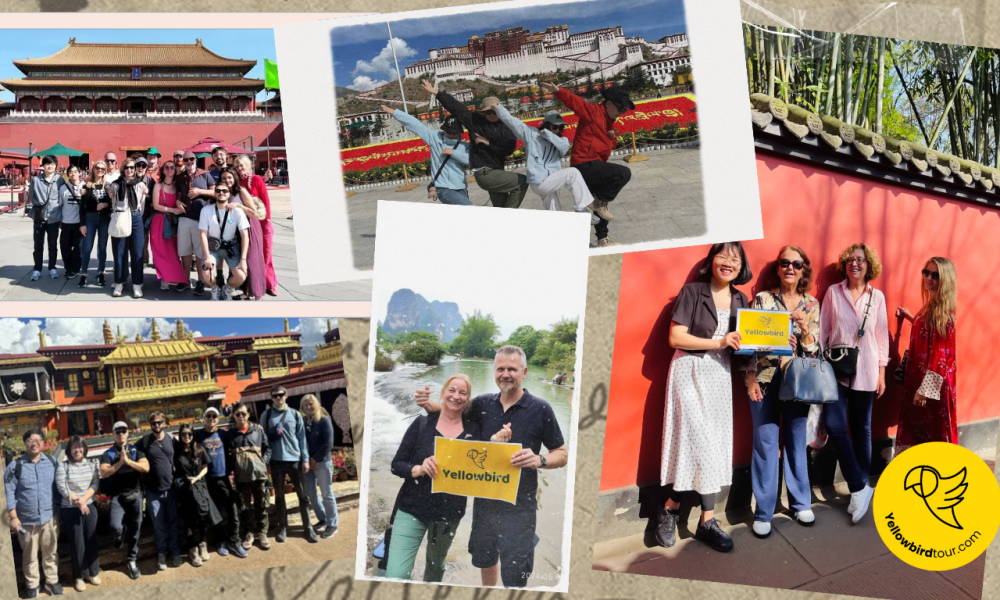 TClient Photos Yellowbordtour
