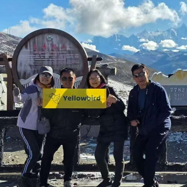 YellowbirdTour Clients