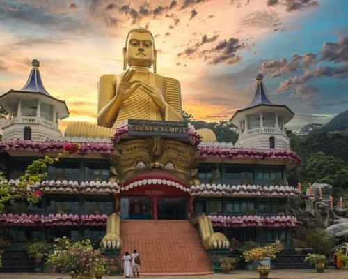 8 Daya Sri Lanka Tour