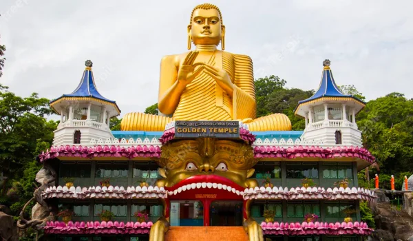 8 Daya Sri Lanka Tour