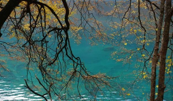7 Days Jiuzhaigou And Chengdu Tour