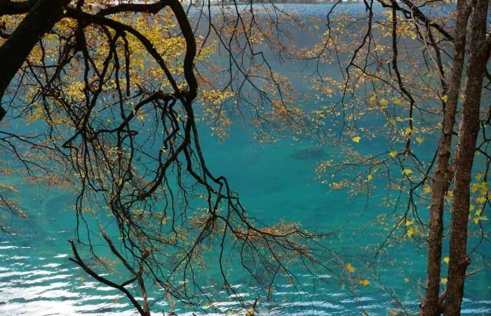 7 Days Jiuzhaigou And Chengdu Tour