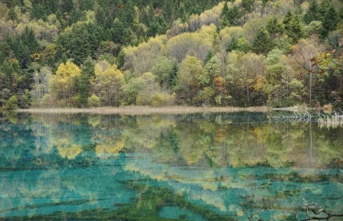 7 Days Jiuzhaigou And Chengdu Tour
