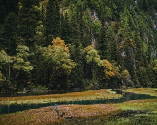 7 Days Jiuzhaigou And Chengdu Tour