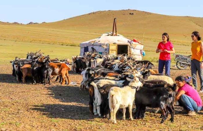 8 Days Mongolia Tour Adventure: Discover Culture, Nature, And Tradition