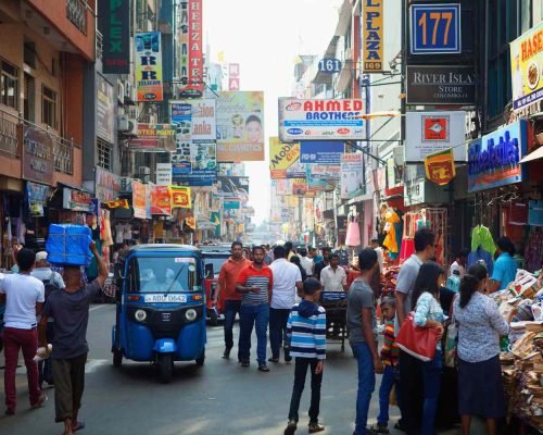 8 Daya Sri Lanka Tour