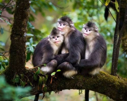 7 Days Yunnan Journey To The Lost Horizon