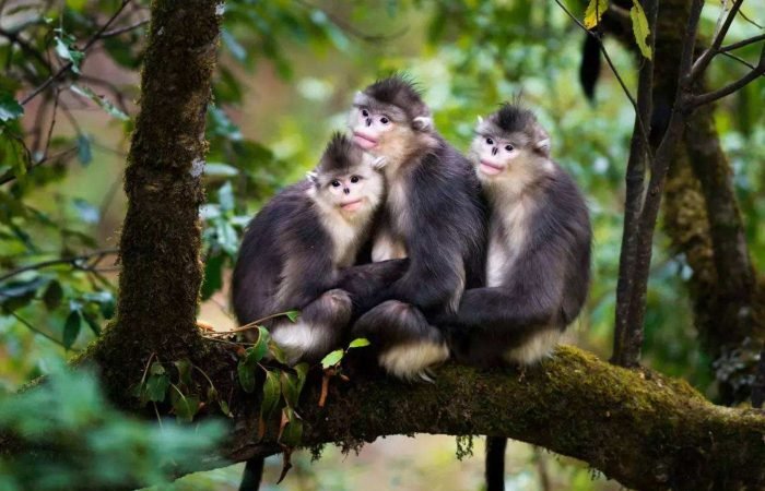 7 Days Yunnan Journey To The Lost Horizon