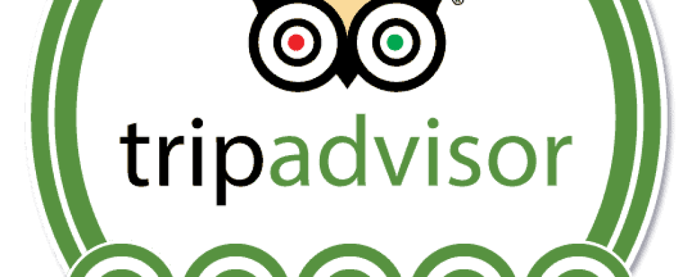 Yellowbird, Reviews tripadvisor
