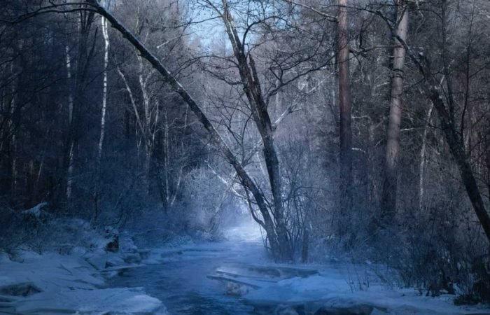 Natural scenery covered in snow near Harbin, China