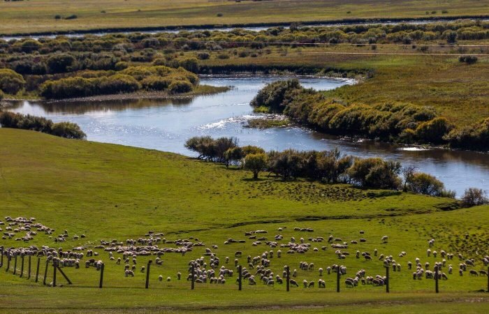 6 Days Hulunbuir Inner Mongolia Trip