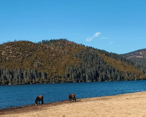 7 Days Dali, Shangrila, Lijiang Tiger Leap Gorge Hike