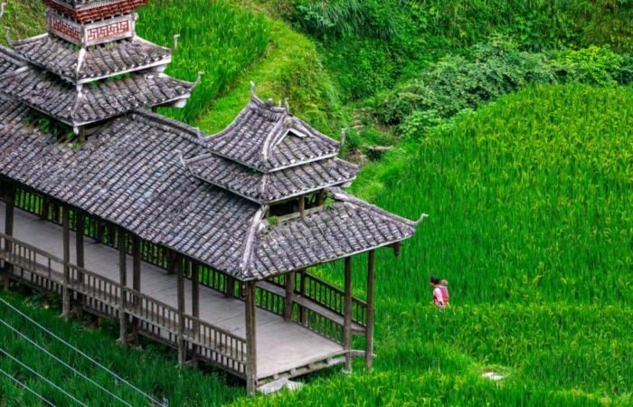 10 Days Guizhou In-depth Tour