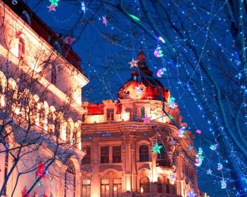 4 Days Harbin Tour With Snow Town