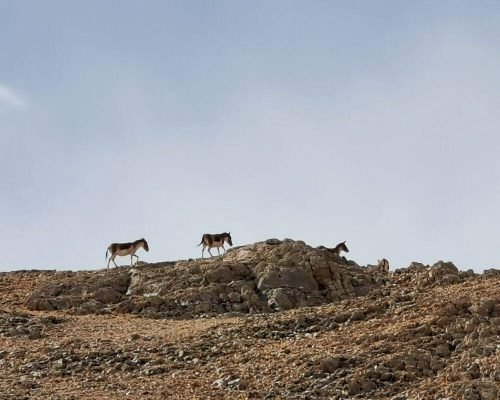 15 Days Lhasa, Everest, Mt Kailash Trek Tour