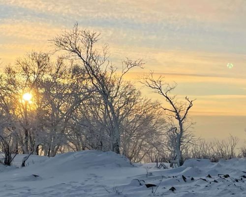 5 Days Harbin Ice Festival And Yabuli Ski
