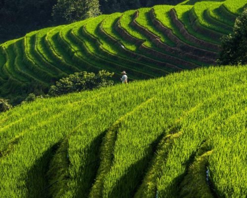 5 Days Guilin, Longji Rice Terraces, Yangshuo
