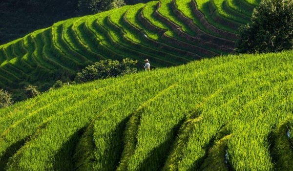 5 Days Guilin, Longji Rice Terraces, Yangshuo