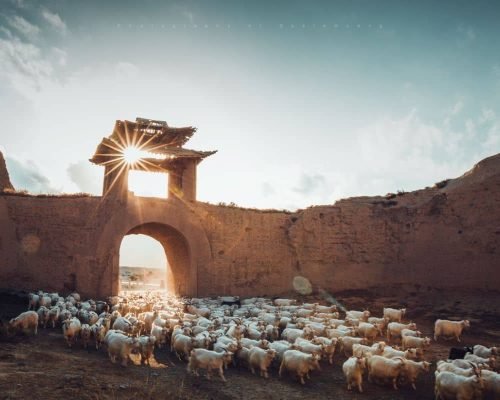 7 Days Silk Road Tour From Lanzhou