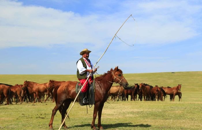 6 Days Hulunbuir Inner Mongolia Trip