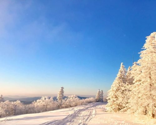5 Days Harbin Ice Festival And Yabuli Ski