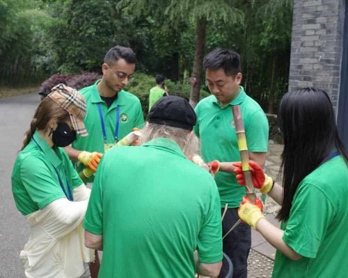 1 Day Dujiangyan Panda Volunteer