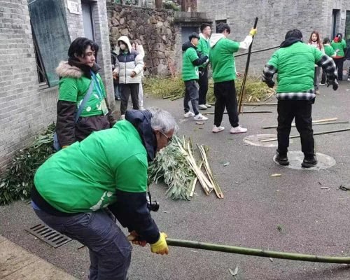 1 Day Dujiangyan Panda Volunteer