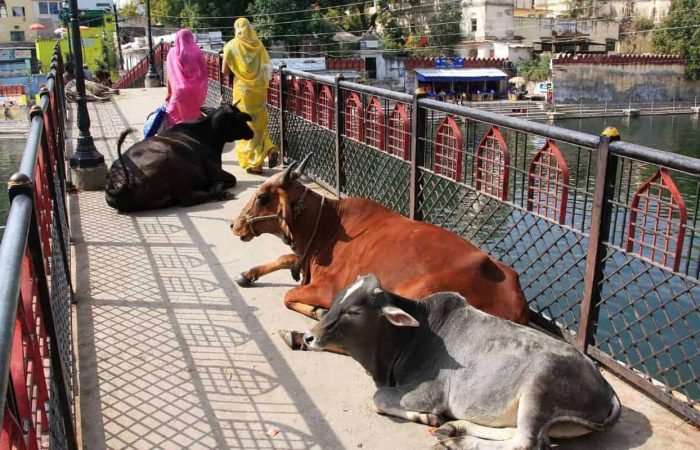 9 Days India Golden Trianlgle Tour With Udaipur