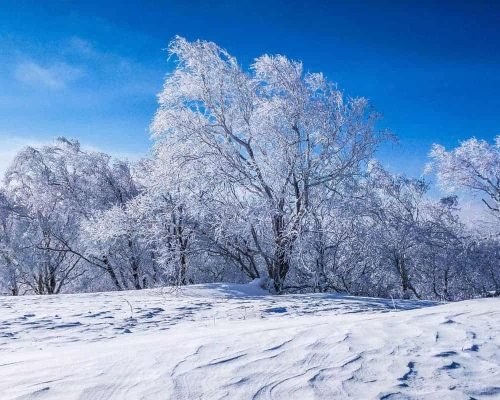 4 Days Harbin Tour With Snow Town