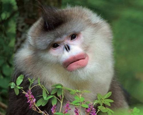 7 Days Yunnan Journey To The Lost Horizon